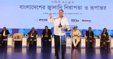 বিদ্যুৎ বিতরণ বেসরকারি খাতে দিতে চায় সরকার: জ্বালানিমন্ত্রী
