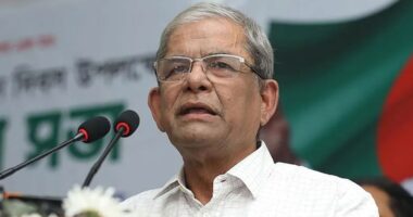 নির্বাচনী প্রতিশ্রুতি বাস্তবায়নে বর্তমান সরকার বদ্ধপরিকর: বিএনপি মহাসচিব