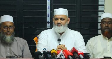 প্রধানমন্ত্রীর বিশেষ সহকারীর নির্দেশেই মসজিদে হামলা হয়েছে: এমপি মোমেন