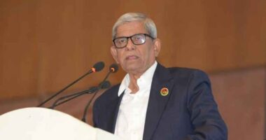 নতুন রাষ্ট্রপতি দলীয় নাকি বাইরের কেউ সিদ্ধান্ত হবে বিএনপির বৈঠকে: মির্জা ফখরুল