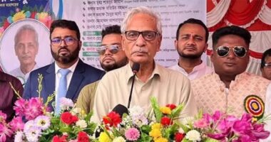 খাল খননের পর শুরু হবে নদী খনন কার্যক্রম শুরু হবে: সংস্কৃতিমন্ত্রী