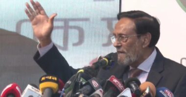 ডা. শফিকুর রহমান-নাহিদ-মামুনুল হক একজোট হলে এক সপ্তাহের মধ্যেই সরকারের পতন অনিবার্য : কর্নেল অলি