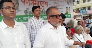শেখ হাসিনা যে দিক দিয়ে আসবে, সেই দিক দিয়েই বরণ করা হবে: এস এম জিলানী