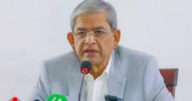 কৃষিভিত্তিক শিল্পেই কর্মসংস্থানের নতুন সম্ভাবনা: মির্জা ফখরুল