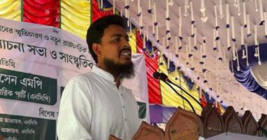 সাহাবুদ্দিন চুপ্পুকে ‘সেইফ এক্সিট’ দিতে চায় বিএনপি: আখতার হোসেন