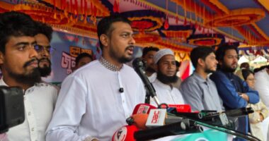 ভেবেছিলাম দেশ সংস্কার হবে, কিন্তু সালাহউদ্দিনের কথায় দেশে এখন কুসংস্কারের জন্ম হচ্ছে: নাসীরুদ্দীন পাটওয়ারী