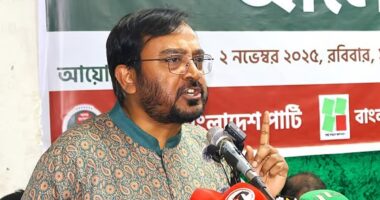 জুলাই গণঅভ্যুত্থান ব্যর্থ হলে ‘শেখরাজ্য’ প্রতিষ্ঠা হতো: মঞ্জু