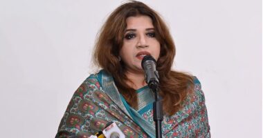 ট্রিলিয়ন ডলারের অর্থনীতির লক্ষ্য পূরণে কাজ করছে সরকার: পররাষ্ট্র প্রতিমন্ত্রী