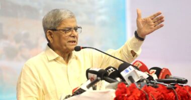 স্থানীয় সরকার নির্বাচন চলতি বছরের শেষ দিকে আয়োজনের চেষ্টা থাকবে: মির্জা ফখরুল