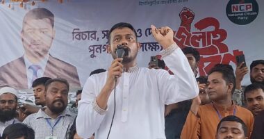 অনেক মুজিবপ্রেমী টকশো আলোচক এখনও স্বপ্ন দেখেন ডিসেম্বরে শেখ হাসিনা আসবে: নাসীরুদ্দীন পাটওয়ারী
