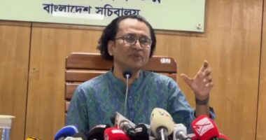 দায়িত্ব শেষে রাষ্ট্রপতির বিরুদ্ধেও আইনগত ব্যবস্থা নেওয়া সম্ভব: প্রধানমন্ত্রীর উপদেষ্টা