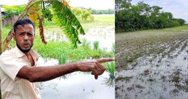 লালমোহনে সংখ্যালঘু পরিচয়ের আড়ালে জমি জবরদখলের অভিযোগ