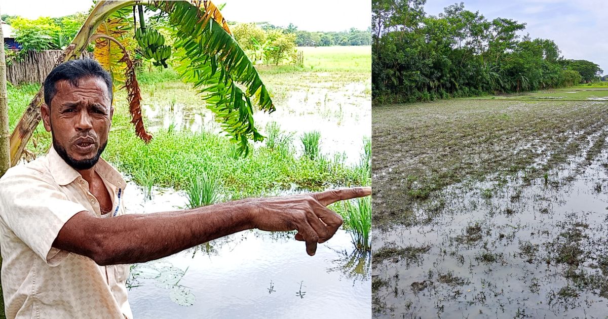 লালমোহনে সংখ্যালঘু পরিচয়ের আড়ালে জমি জবরদখলের অভিযোগ