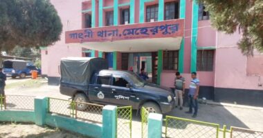 গাংনীতে চাচার ধারালো অস্ত্রাঘাতে ভাতিজা খুন