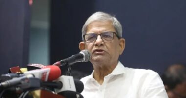 তরুণদের স্বপ্নের বাংলাদেশ গঠনে সরকার পাশে থাকবে: মির্জা ফখরুল