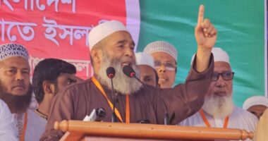 ইনসাফ কায়েম নিশ্চিত না হওয়া পর্যন্ত সাঈদ-মুগ্ধর যুদ্ধ থামবে: অ্যধাপক মুজিবুর রহমান