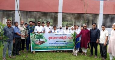 ফেঞ্চুগঞ্জে জমিরুন নেছা একাডেমি স্কুল অ্যান্ড কলেজে বৃক্ষরোপণ কর্মসূচি-২০২৬ পালিত