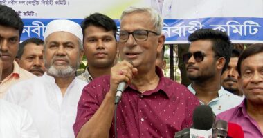 ‘এই সরকার কচুপাতার পানি নয়, নড়লেও পড়ে না’: জয়নুল আবদিন ফারুক