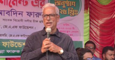 ‘কেউ যদি মনে করেন অল্প সময়ের মধ্যে সরকারকে বিদায় করে দেবেন, তাহলে সেটা বাস্তবসম্মত নয়’: জয়নুল আবদিন ফারুক