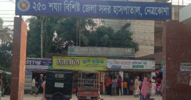 নেত্রকোনায় জমি নিয়ে বিরোধের জেরে সংঘর্ষে নারীসহ আহত-১২