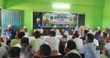মেহেরপুরের গাংনীতে ৪০০ গাছ লাগানোর কর্মসূচি