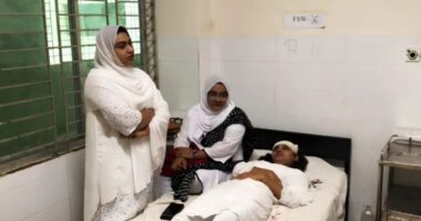 আদালতে বিচার চলাকালে পেপারওয়েট ছুড়ে নারী আইনজীবীর মাথা ফাটালেন বিচারক