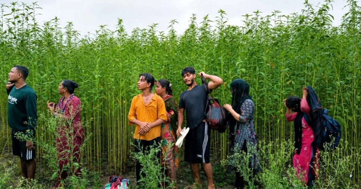 কুষ্টিয়া সীমান্তে পুশইনের চেষ্টা প্রতিহত করল বিজিবি