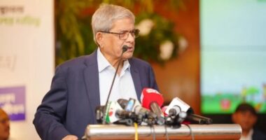 অর্থনৈতিক অনিয়মের কারণে দেশের অর্থনীতি চাপের মুখে পড়েছে: মির্জা ফখরুল