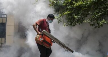 ধোঁয়ায় মরে না মশা, ‘লোক দেখাতে’ মাসে ব্যয় সাড়ে ১০ কোটি টাকা