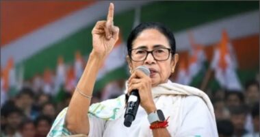 ককরোচ আন্দোলনে যোগ দিতে যাচ্ছেন মমতা