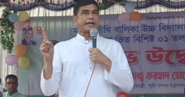 জামায়াত এমপির নারী কে’লে’ঙ্কা’রি’র ঘটনা ঢাকতে তেল সংকটের গু’জ’ব ছড়ানো হয়: পানিসম্পদ প্রতিমন্ত্রী