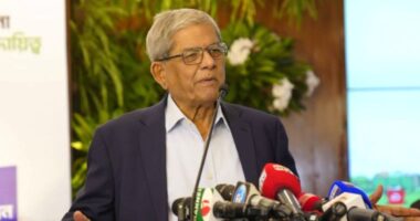স্থানীয় সরকার শক্তিশালী হলেই গণতন্ত্র ও রাষ্ট্র শক্তিশালী হবে: মির্জা ফখরুল