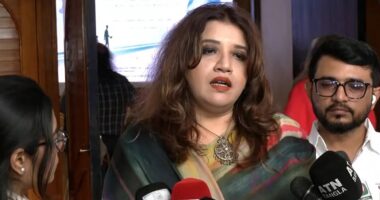পলাতক আসামিদের বক্তব্যে ভারত-বাংলাদেশ সম্পর্ক নষ্ট হোক চাই না: পররাষ্ট্র প্রতিমন্ত্রী