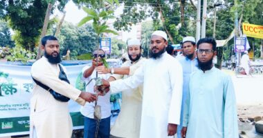 আস্-সুন্নাহ ফাউন্ডেশনের উদ্যোগে নান্দাইলে ফলজ গাছের চারা বিতরণ