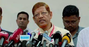 স্পষ্টভাবে বলতে চাই-আমাদেরকে দায়িত্ব দেন, তরুণ সমাজ গড়ে তুলব: হামিদুর রহমান আযাদ