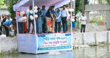 মুন্সীগঞ্জে জাতীয় মৎস্য পক্ষ উপলক্ষে র‍্যালি ও আলোচনা সভা