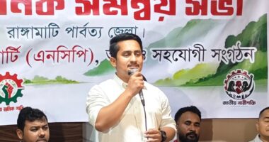 দেশে ফেরা বাদ দিন, শেখ হাসিনার কবরও বাংলাদেশে হবে না: সারজিস আলম