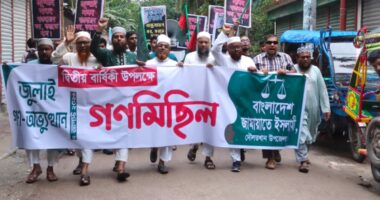 জুলাই বিপ্লবের দ্বিতীয় বার্ষিকী উপলক্ষে দৌলতখানে জামায়াতের গণমিছিল