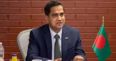 ‘যে ভাষা ড্রইংরুমে ব্যবহার করি না, সেই ভাষা কেন রাজনীতিতে ব্যবহার করব’: রাষ্ট্রদূত মুশফিকুল ফজল