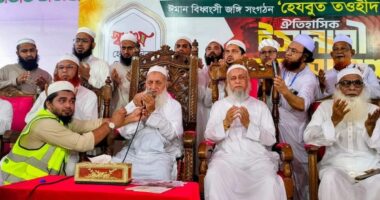 হেজবুত তাওহীদ দেশের স্বাধীনতা-সার্বভৌমত্বের জন্য হুমকি’ নোয়াখালীতে মহাসমাবেশে বাবুনগরী
