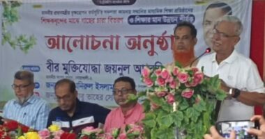 ‘৭১’ আমাদের মাথার মণি, এর সঙ্গে কোনো কিছুর তুলনা হয় না’:  জয়নুল আবদিন ফারুক