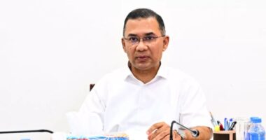 সরকারের সঙ্গে যাতে কোনোভাবে দল হারিয়ে না যায়: তারেক রহমান