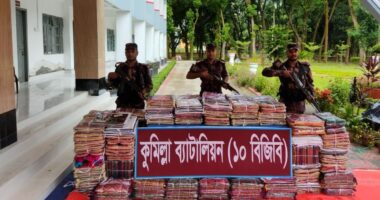 ১ কোটি ১৫ লাখ টাকার অবৈধ ভারতীয় শাড়ি ও মোবাইল ডিসপ্লে আটক করেছে ১০ বিজিবি