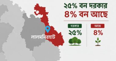 ২৫% বনের জায়গায় ৪% চরম ঝুঁকির মুখে তিস্তাবাসী