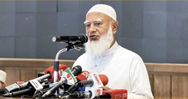 “এখন সচিব হতে বিসিএস পাস করার দরকার নেই, দলীয় পদ থাকলেই হবে”: জামায়াত আমির