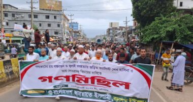 গণভোটের রায় বাস্তবায়নের দাবিতে জামায়াতের গণমিছিল