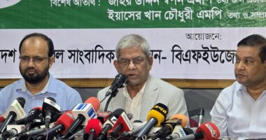 বিরোধী দলের নেতারা যে ভাষায় কথা বলছেন, সেটা ঠিক নয়’: মির্জা ফখরুল