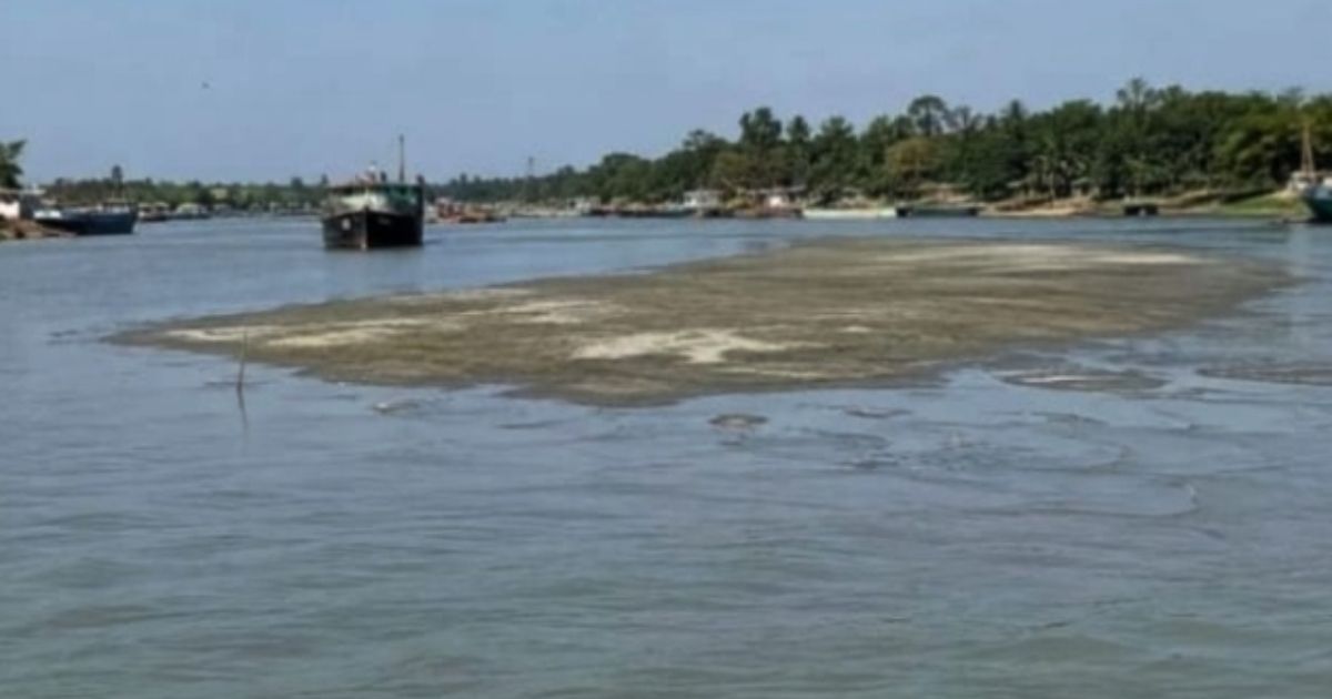 “নদী ভরাটে সংকটে দক্ষিণাঞ্চল: বন্ধ নৌরুট, কমছে ইলিশ, বাড়ছে জনদুর্ভোগ”