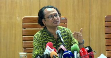 বিদ্যুতের অতিরিক্ত চাহিদা তৈরি হওয়ায় কিছু সমস্যা হচ্ছে: তথ্য উপদেষ্টা