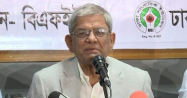 শেখ হাসিনার ভাষায় কথা বলছেন বিরোধীদলীয় নেতারা: মির্জা ফখরুল
